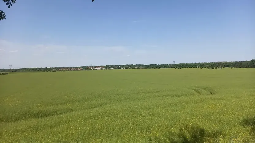 Prodej pole, Čestlice, Říčanská, 480 m2