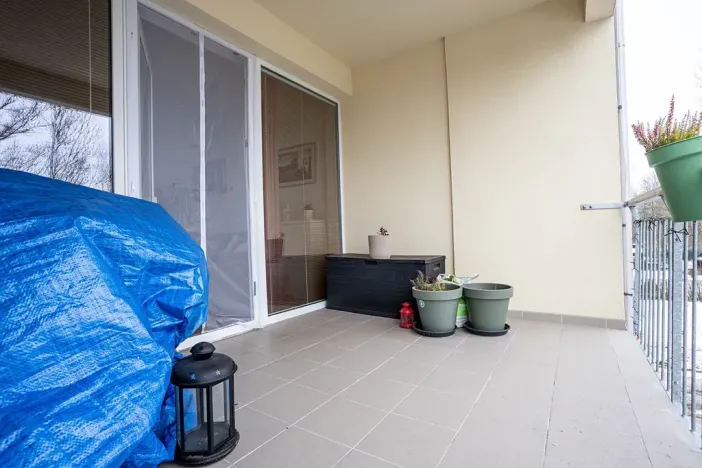 Prodej bytu 2+kk, Nová Role, Svobodova, 80 m2