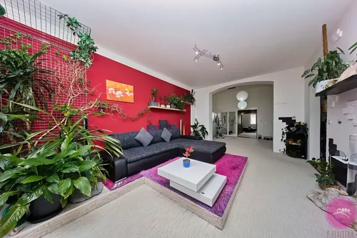 Prodej bytu 3+1, Olomouc, Palackého, 127 m2