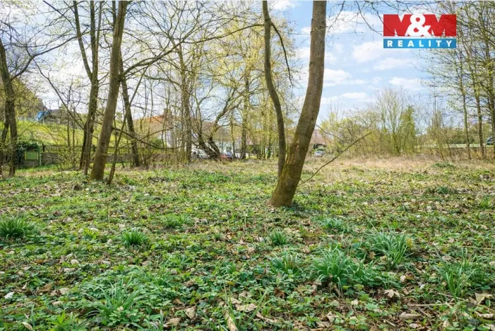 Prodej zahrady, Kořenice - Chotouchov, 1304 m2