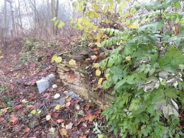 Dražba zahrady, Staré Město, 490 m2