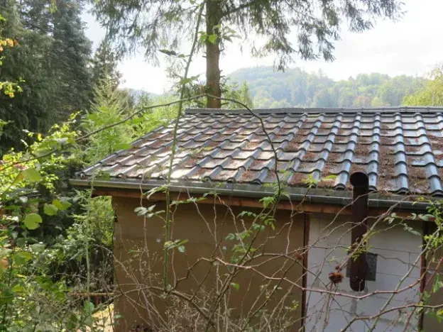 Dražba chaty, Stříbrná Skalice, 42 m2