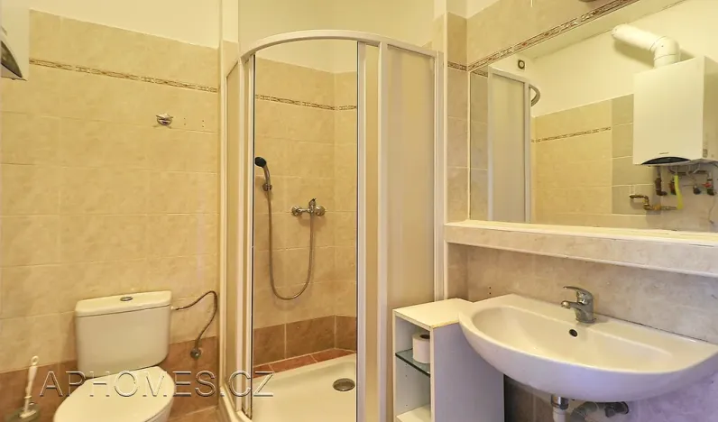 Pronájem bytu 2+1, Praha - Bubeneč, Terronská, 45 m2