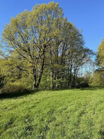 Prodej pozemku, Čížkov, 24151 m2