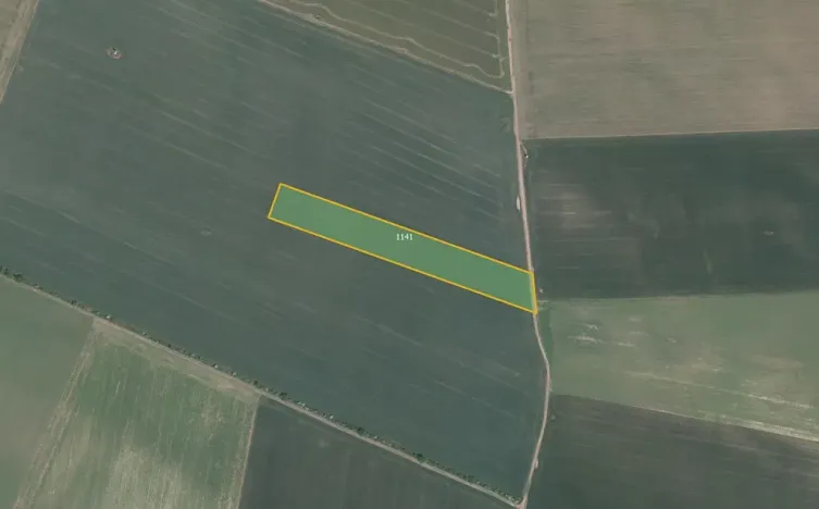 Prodej pole, Nový Šaldorf-Sedlešovice, 16200 m2