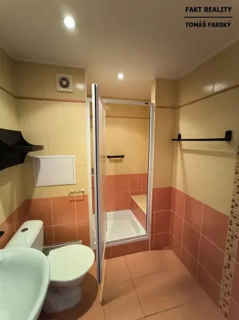 Pronájem bytu 1+kk, Děčín, Želenická, 25 m2