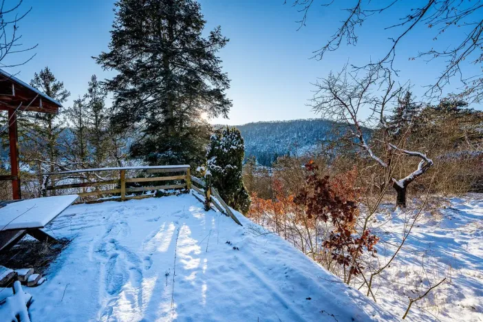 Prodej pozemku, Hlásná Třebaň, K Zámku, 1813 m2