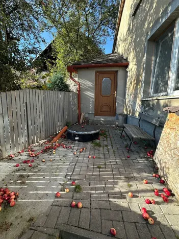 Pronájem rodinného domu, Zdíkov, 100 m2