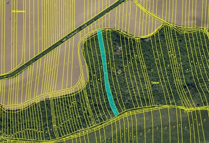 Prodej podílu pole, Syrovín, 7351 m2