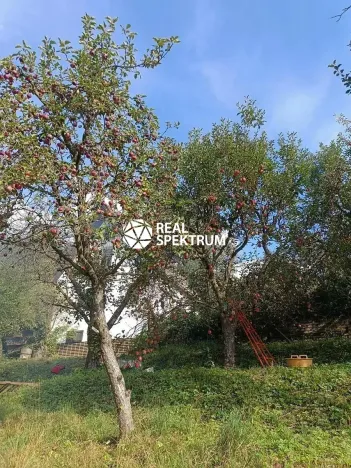 Prodej chaty, Blansko, Nad Žlíbkem, 110 m2