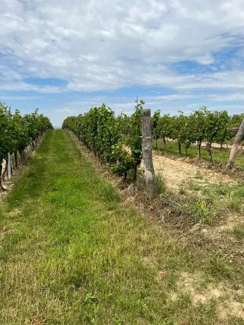 Prodej podílu pozemku, Vracov, 152 m2