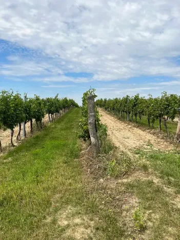 Prodej podílu pozemku, Vracov, 152 m2