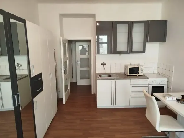 Pronájem bytu 1+kk, Praha - Žižkov, Žerotínova, 24 m2
