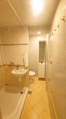 Prodej bytu 1+1, Tišnov, Květnická, 31 m2