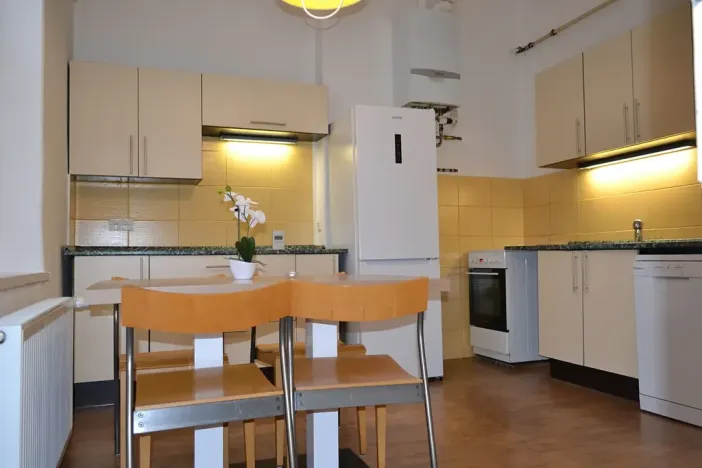 Pronájem bytu 2+1, Karlovy Vary, Nebozízek, 61 m2