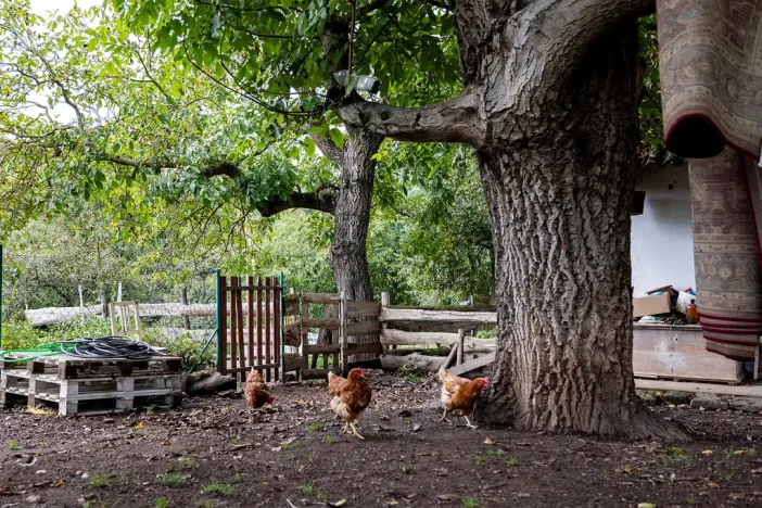 Prodej chaty, Litíč, 60 m2