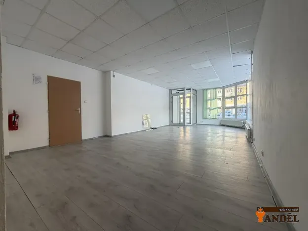 Pronájem obchodního prostoru, Havířov, Dlouhá třída, 55 m2