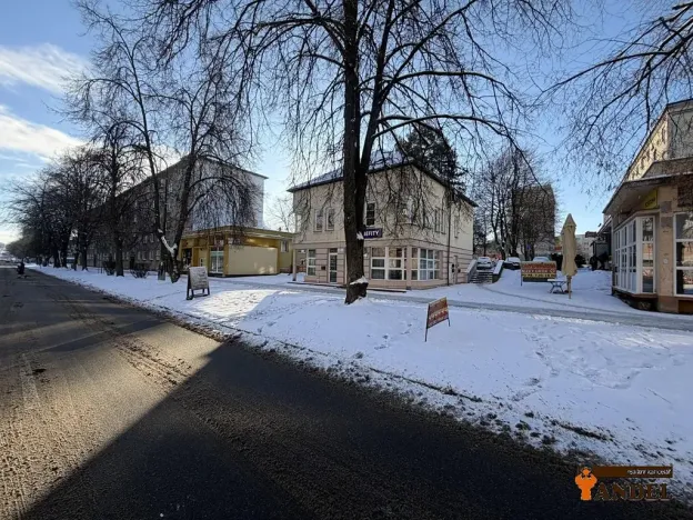 Pronájem obchodního prostoru, Havířov, Dlouhá třída, 55 m2