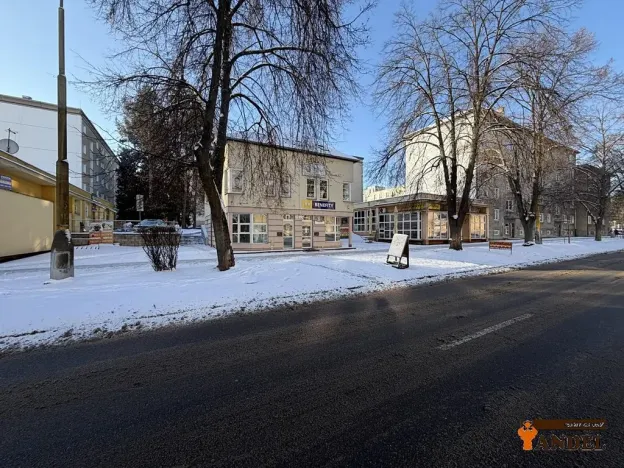 Pronájem obchodního prostoru, Havířov, Dlouhá třída, 55 m2