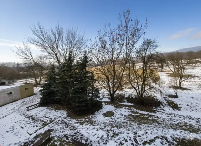 Prodej bytu 1+1, Chlumec, Stradovská, 45 m2