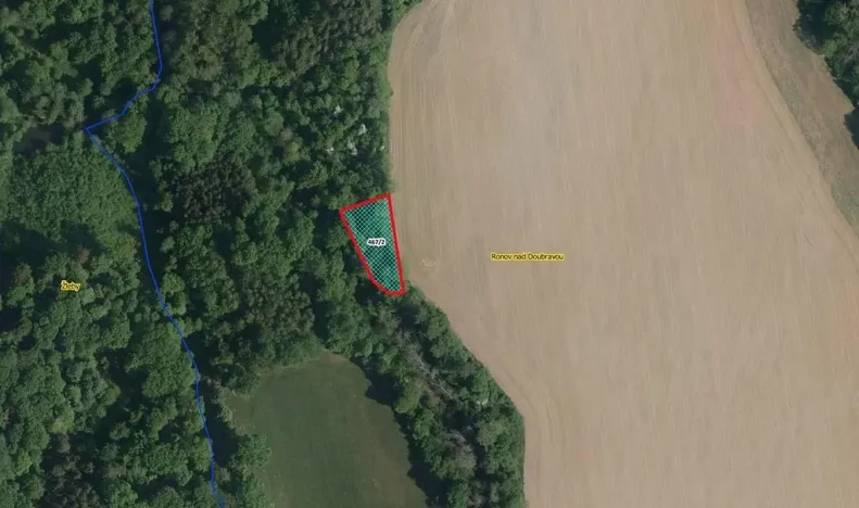 Prodej lesa, Ronov nad Doubravou, 964 m2
