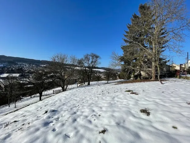 Prodej pozemku pro bydlení, Česká Třebová, 6890 m2
