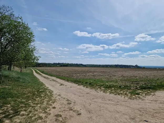 Prodej sadu/vinice, Liběchov, 34927 m2