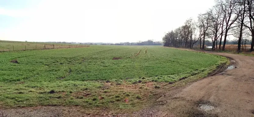 Prodej pole, Chlumec nad Cidlinou, 10037 m2