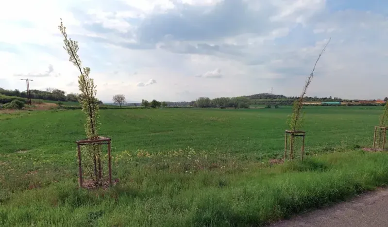 Prodej pozemku pro bydlení, Bechlín, 6418 m2