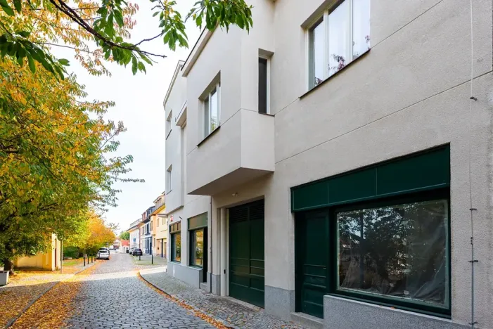 Prodej bytu 5+kk, Praha - Střešovice, Pod bateriemi, 193 m2