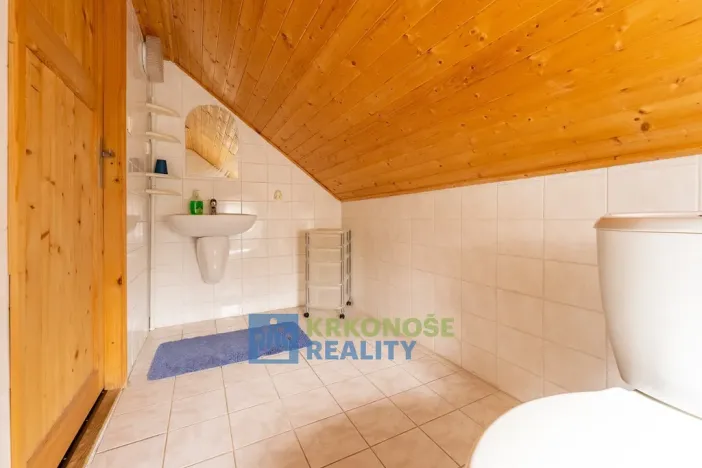 Prodej chaty, Černý Důl, 340 m2