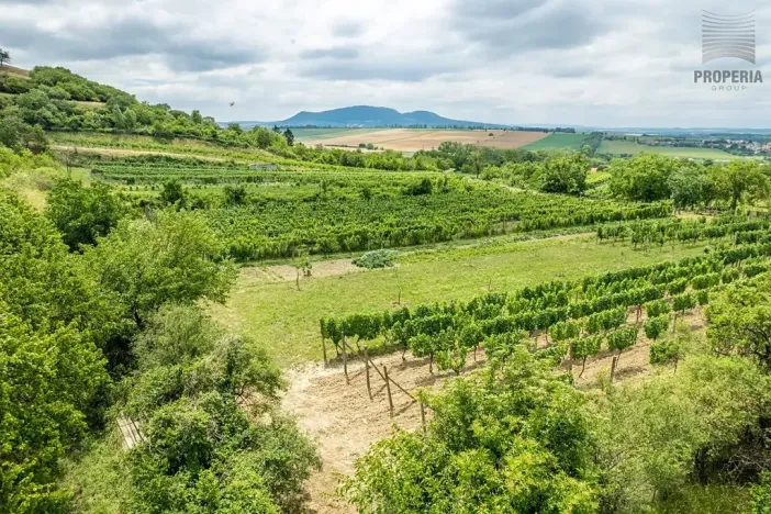 Prodej sadu/vinice, Pouzdřany, 1120 m2