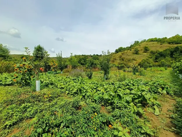 Prodej sadu/vinice, Pouzdřany, 1120 m2