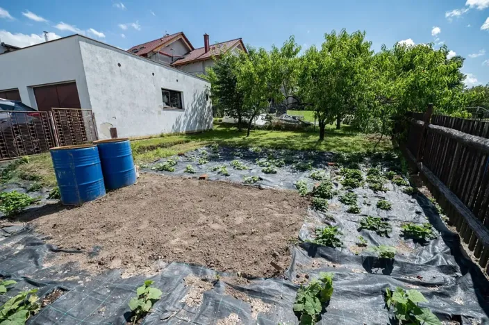 Prodej rodinného domu, Mnichovo Hradiště, 200 m2