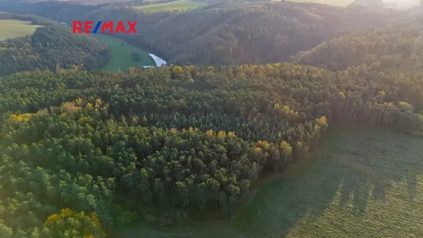 Prodej lesa, Všehrdy, 35057 m2