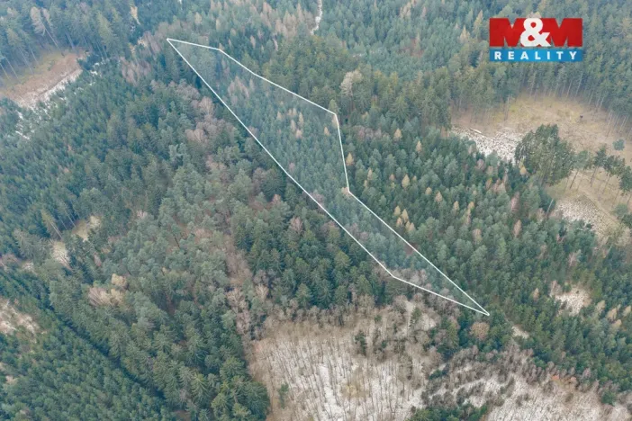 Prodej lesa, Hůrky, 6294 m2