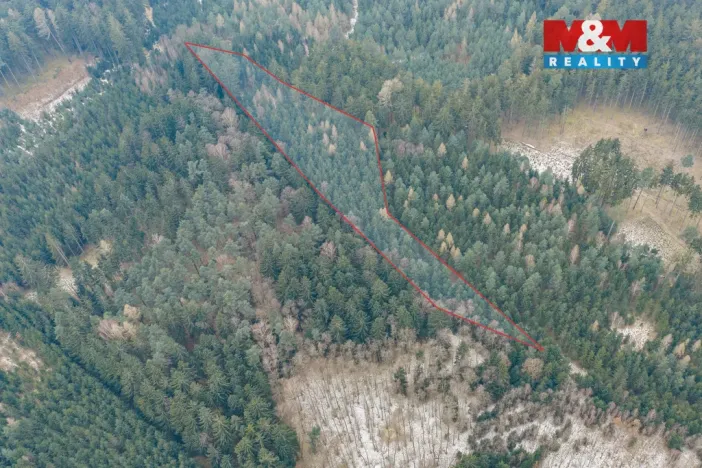 Prodej lesa, Hůrky, 6294 m2