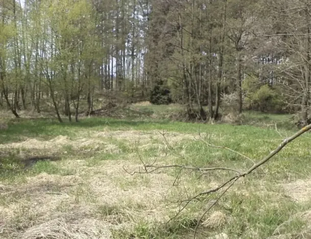 Dražba louky, Mezno, 8388 m2