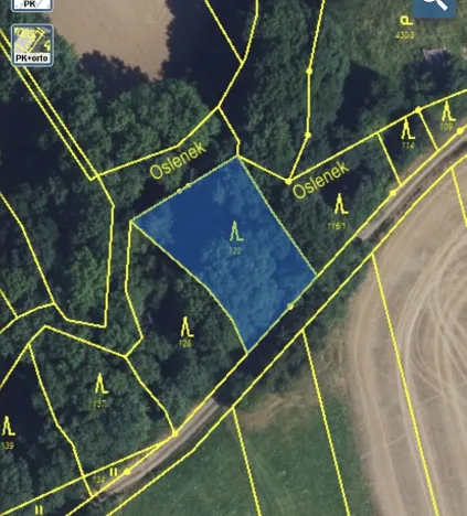 Prodej lesa, Městečko Trnávka - Lázy, 856 m2