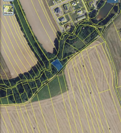 Prodej lesa, Městečko Trnávka - Lázy, 856 m2