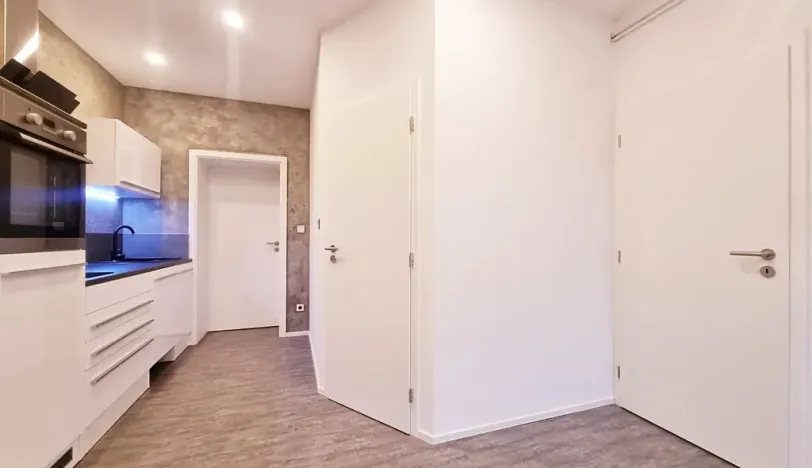 Pronájem bytu 1+1, Brno, Dobrovského, 44 m2