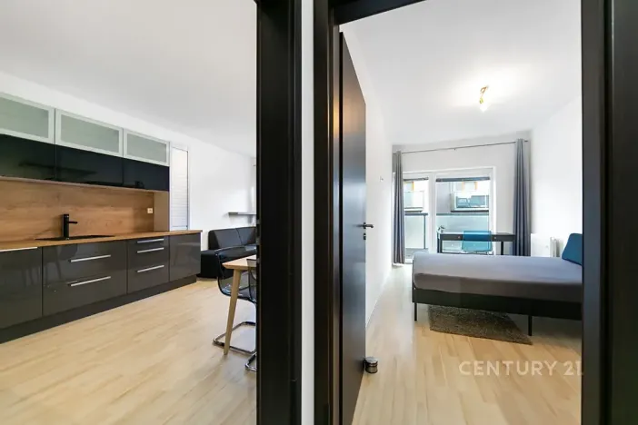 Pronájem bytu 2+kk, Plzeň, U Velkého rybníka, 60 m2