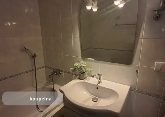 Prodej bytu 2+1, České Budějovice, J. Š. Baara, 61 m2