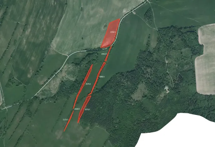 Prodej louky, Město Albrechtice, 64132 m2