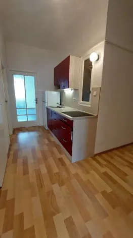 Pronájem bytu 1+1, Praha - Holešovice, Dělnická, 50 m2
