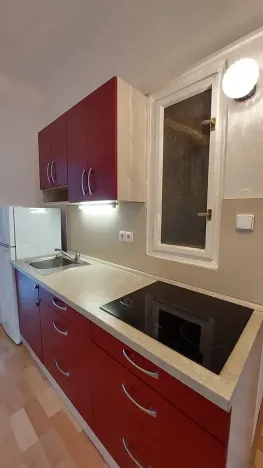 Pronájem bytu 1+1, Praha - Holešovice, Dělnická, 50 m2