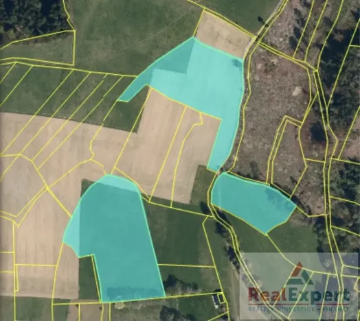 Prodej pole, Nový Rychnov, 73681 m2