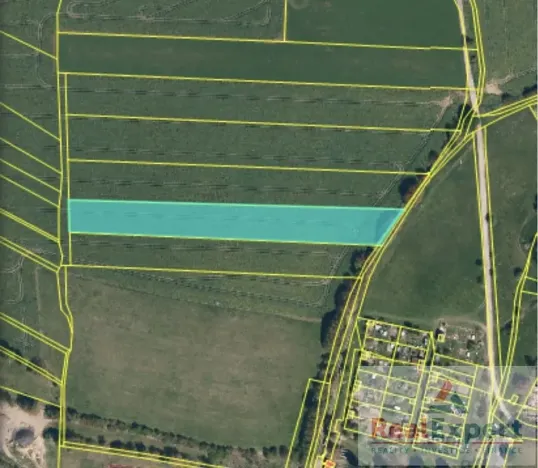 Prodej pole, Nový Rychnov, 73681 m2