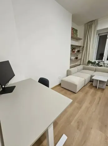 Pronájem bytu 2+kk, Praha - Žižkov, Žerotínova, 45 m2
