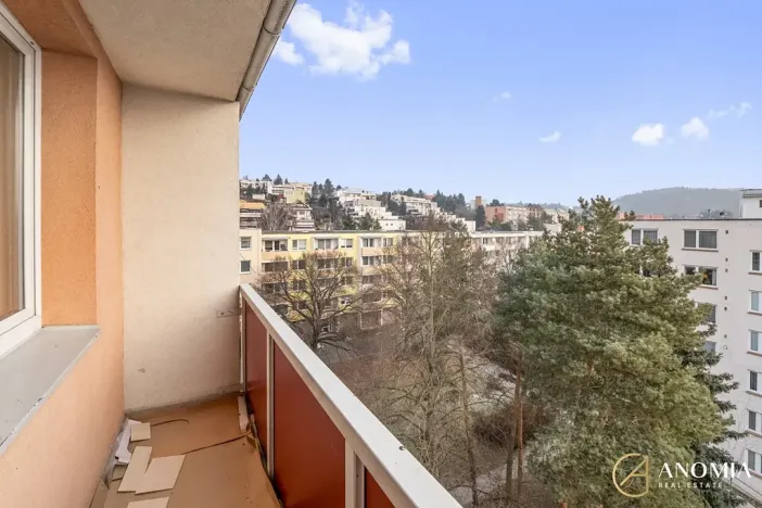 Pronájem bytu 1+1, Brno, Vavřinecká, 35 m2